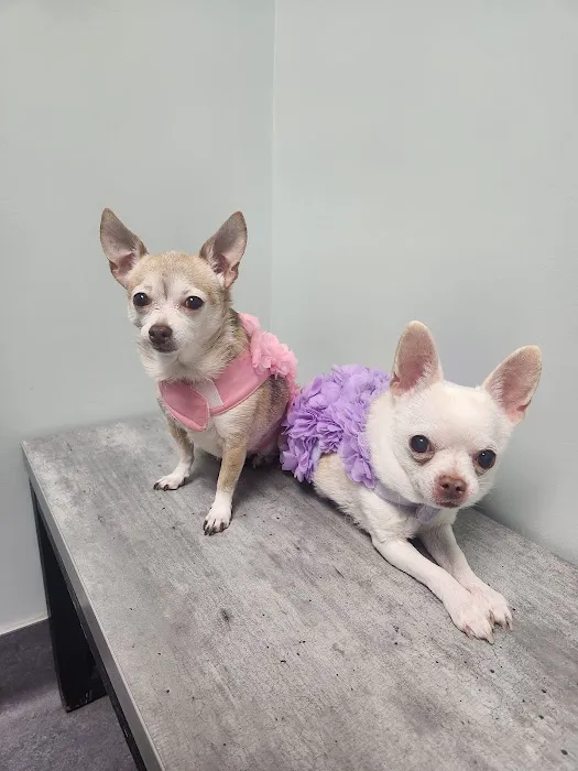 Glenwood Pet Hospital 3