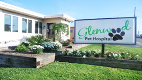 Glenwood Pet Hospital: Dr. P.J. Polumbo 4
