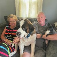 Glenwood Pet Hospital: Dr. P.J. Polumbo ico