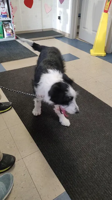 Union City Pet Hospital 8