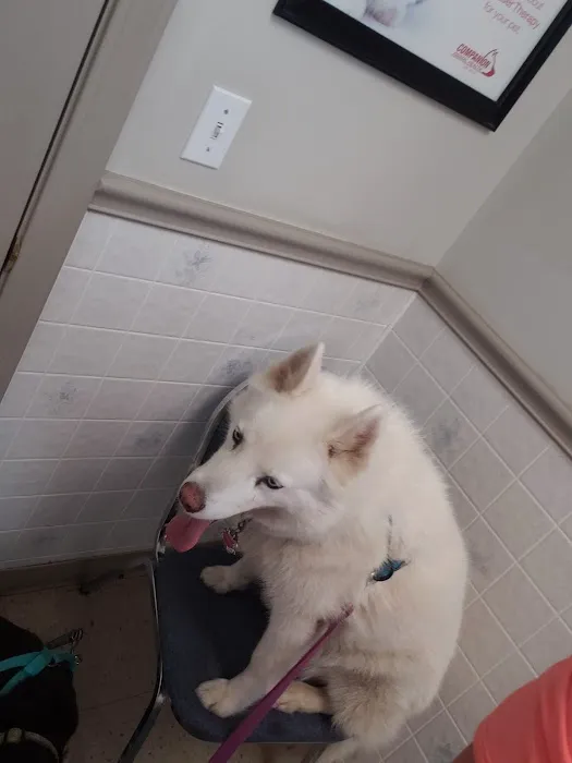Union City Pet Hospital 9