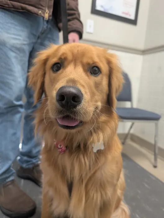 Union City Pet Hospital 3
