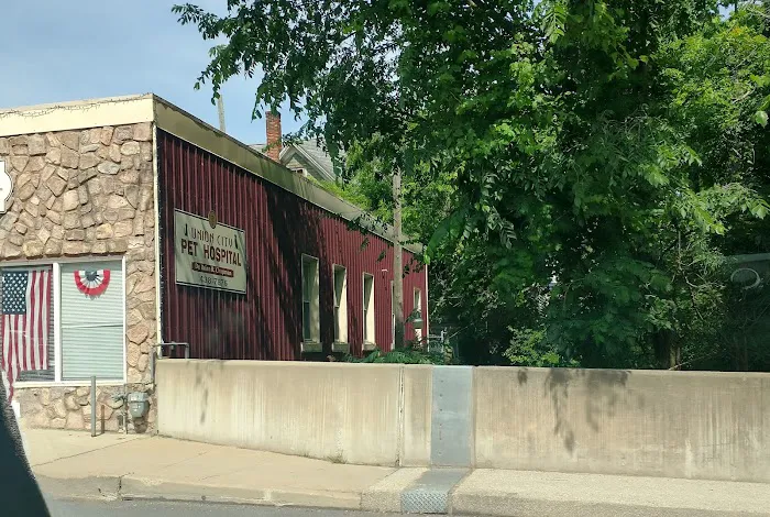 Union City Pet Hospital 7