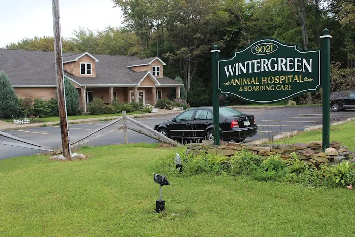 Wintergreen Animal Hospital 7