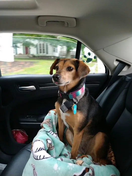 Wintergreen Animal Hospital 1