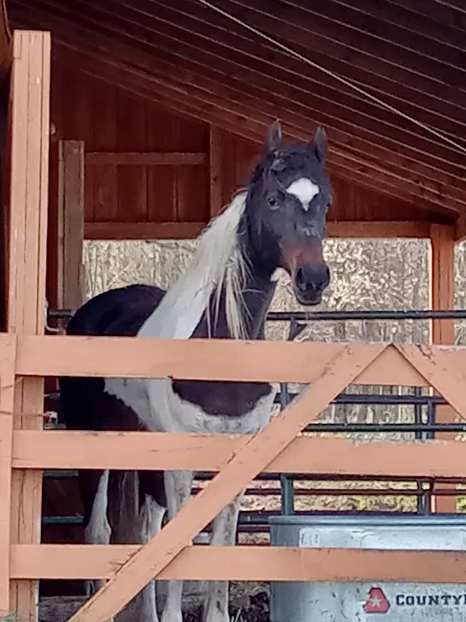 Tri County Veterinary Clinic 5