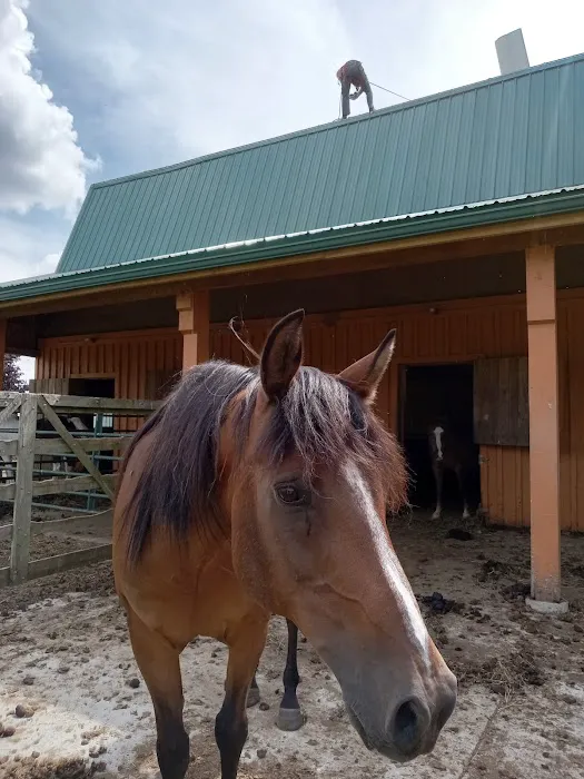 Tri County Veterinary Clinic 6