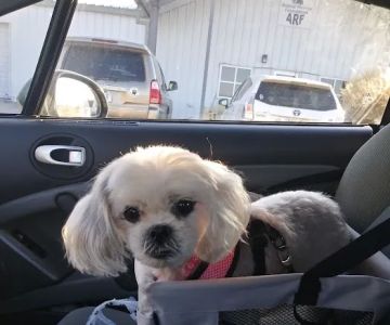 Skiatook Animal Clinic