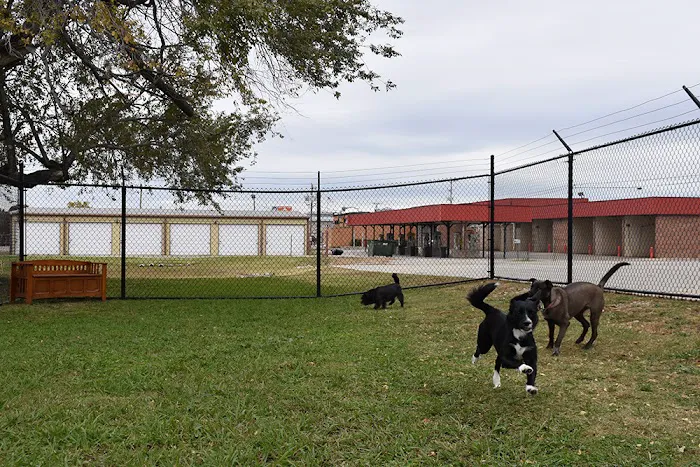 SAHO Skiatook Animal Hospital 10
