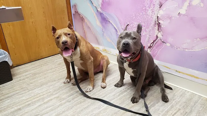 Sheridan Road Veterinary Clinic 6