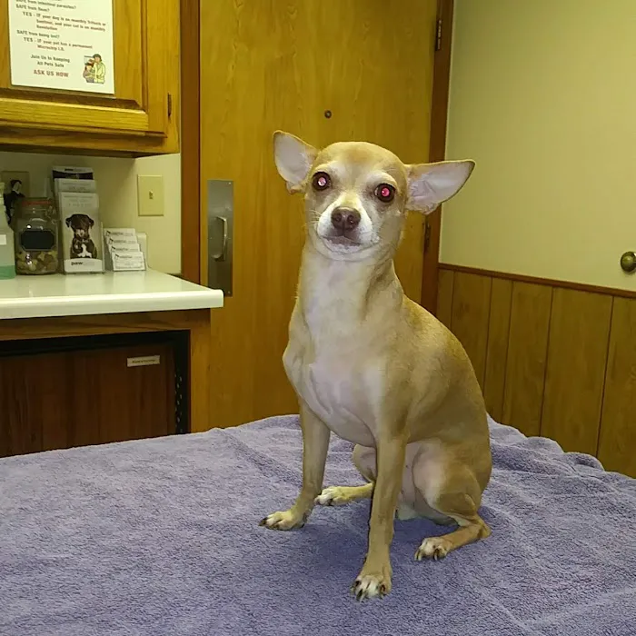 Sheridan Road Veterinary Clinic 2