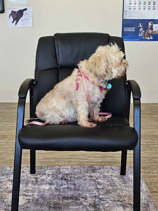 Sheridan Road Veterinary Clinic 7