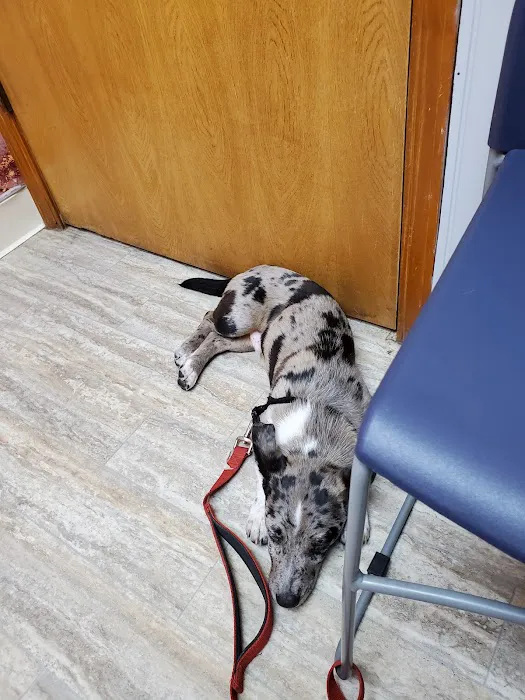 Sheridan Road Veterinary Clinic 4