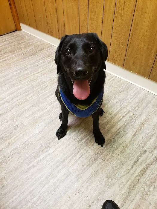 Sheridan Road Veterinary Clinic 5