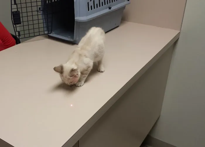 Valley Glen Veterinary Hospital 10