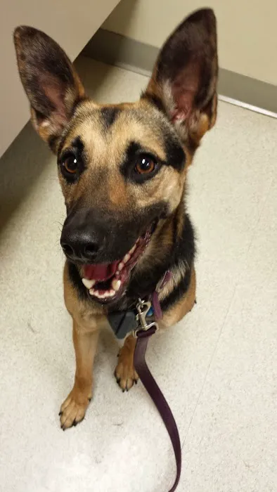 Valley Glen Veterinary Hospital 1