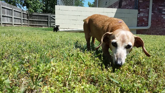 Valley Glen Veterinary Hospital 6