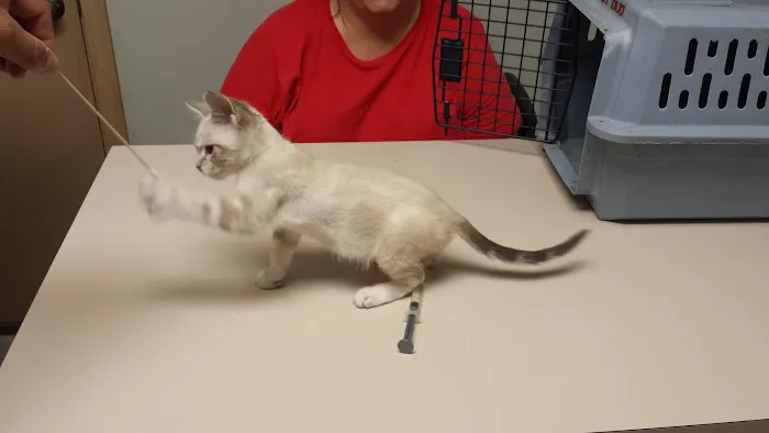 Valley Glen Veterinary Hospital 7