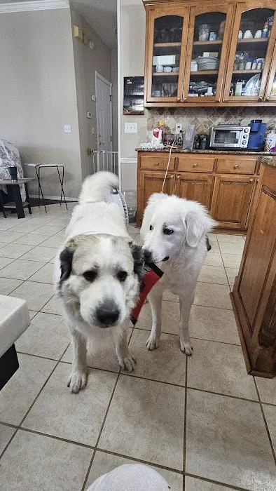 Good Shepherd Veterinary Hospital - Broken Arrow 4