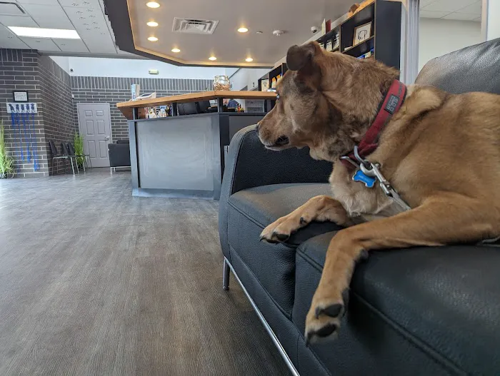 Good Shepherd Veterinary Hospital - Broken Arrow 2