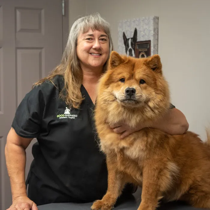 Good Shepherd Veterinary Hospital - Broken Arrow 9
