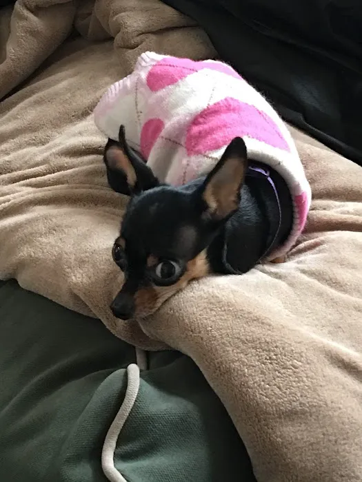 Banfield Pet Hospital 1