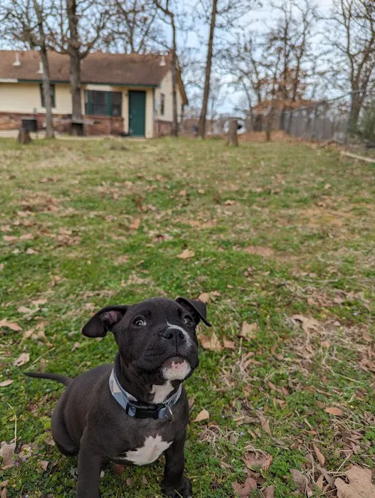 Banfield Pet Hospital 3