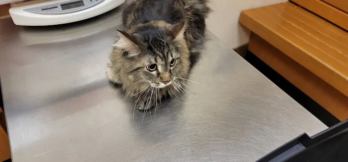 Banfield Pet Hospital 4