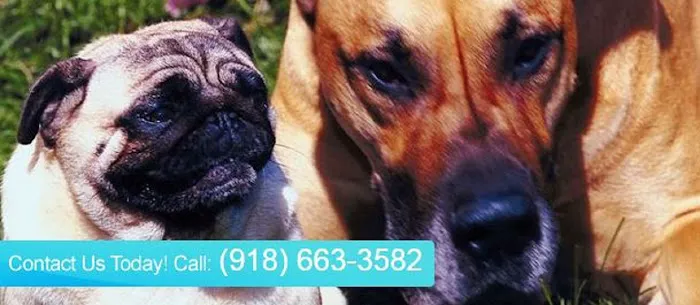 Mingo Road Veterinary Hospital 4