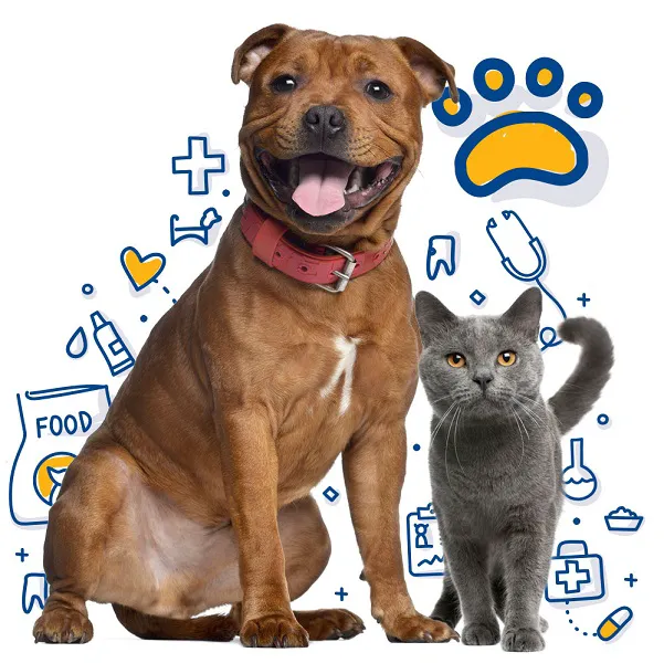 Mingo Road Veterinary Hospital 6