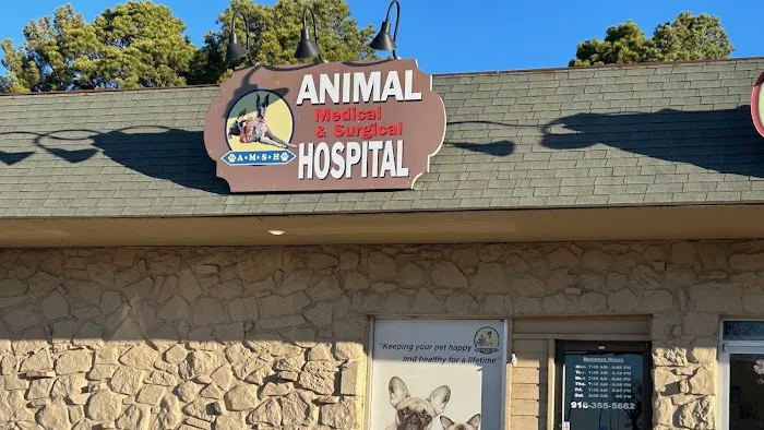 Animal Medical and Surgical Hospital East 2