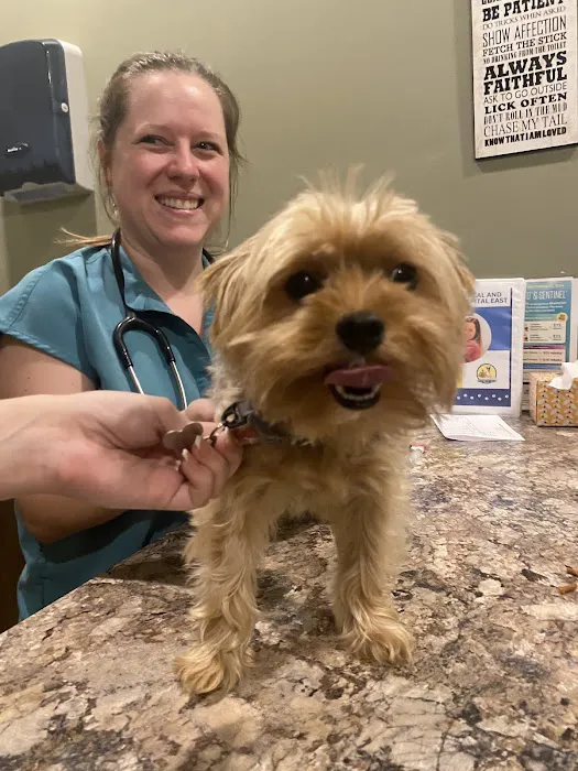 Animal Medical and Surgical Hospital East 4