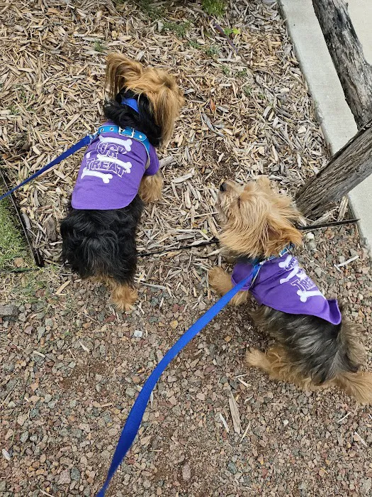 Tulsa Veterinary Specialists 2