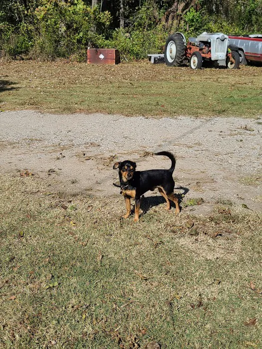 Oneta Animal Care 3