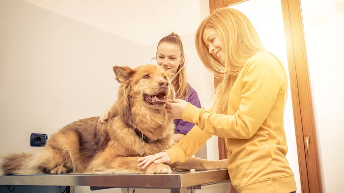 Oneta Animal Care 8