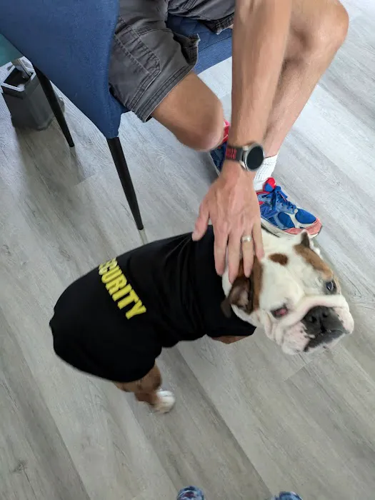 Oneta Animal Care 1
