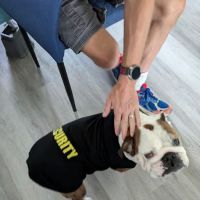 Oneta Animal Care ico
