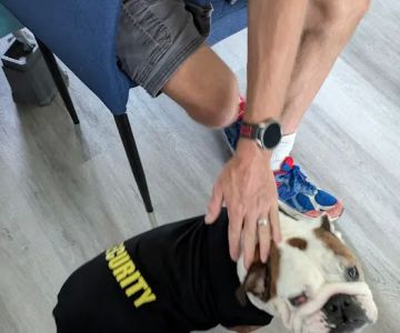 Oneta Animal Care