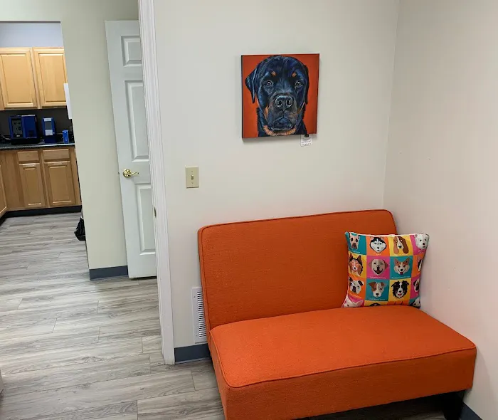 Premier Animal Wellness and Surgery 3