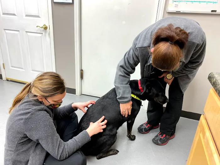Premier Animal Wellness and Surgery 1