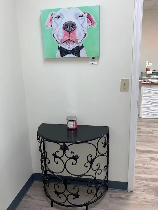 Premier Animal Wellness and Surgery 10