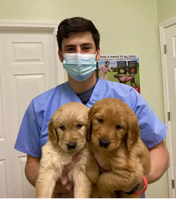 Avalon Veterinary Hospital 2