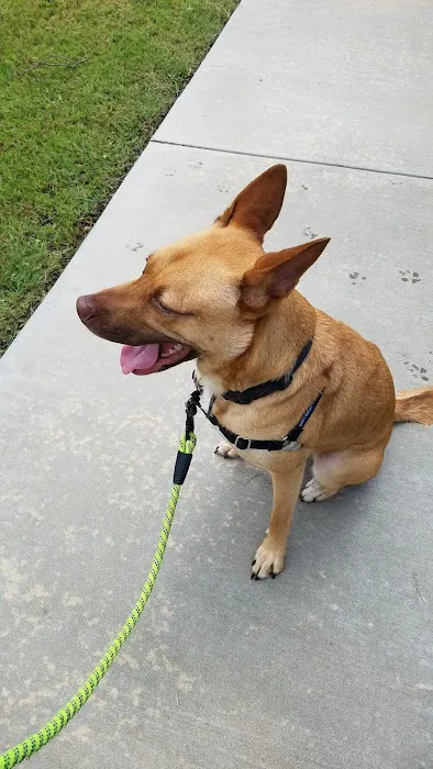 Avalon Veterinary Hospital 8