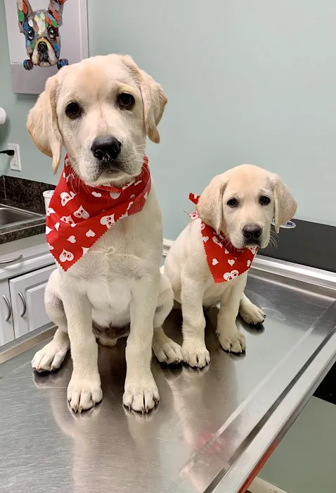 Avalon Veterinary Hospital 1