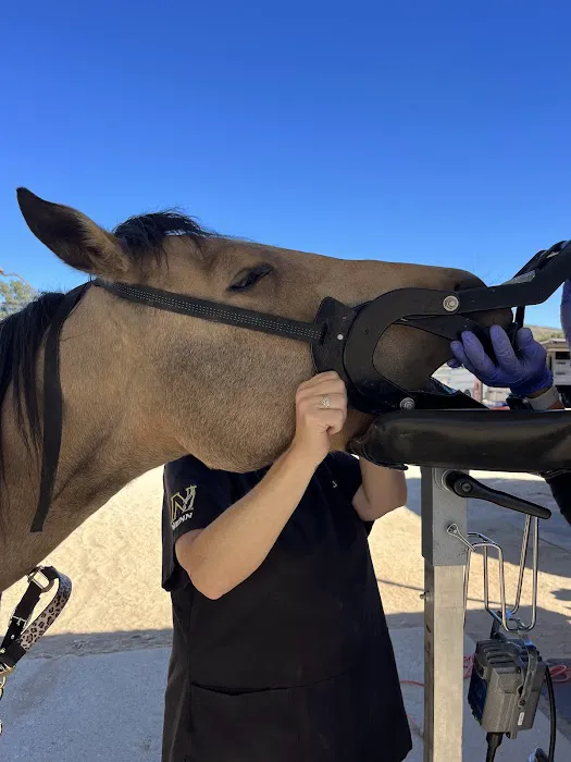 NENN Equine 7