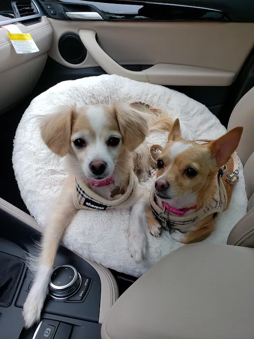 Banfield Pet Hospital 4
