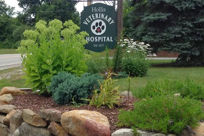 Hollis Veterinary Hospital 4