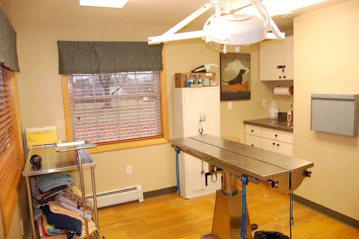 Hollis Veterinary Hospital 10