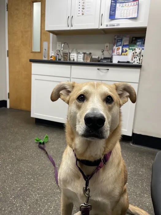 Merrimack Veterinary Hospital 3