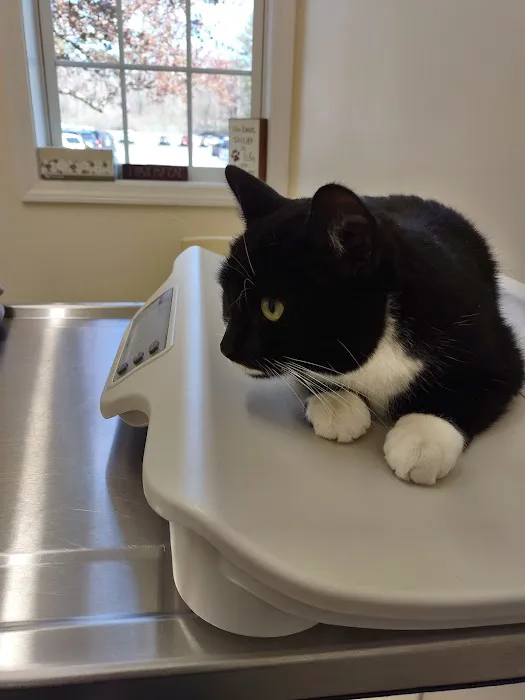 Henniker Veterinary Hospital 7